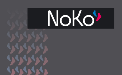 TM NoKo. Разработка руководства по использованию фирменного стиля (Brand Book)