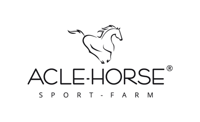 Acle-Horse. Разработка логотипа