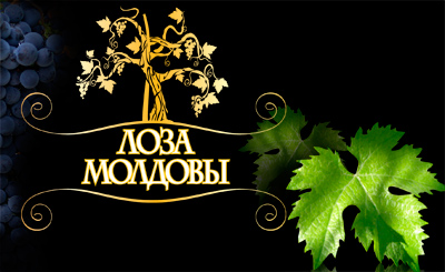 TM `Лоза Молдовы`. Разработка логотипа (вино)