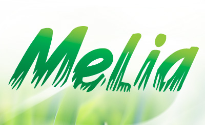 TM Melia. Разработка логотипа (влажные салфетки)