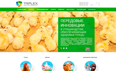 Компания `Триплекс`. Разработка веб сайта