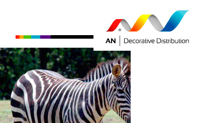 Akzo Nobel Decorative Distribution. Разработка и дизайн сайта