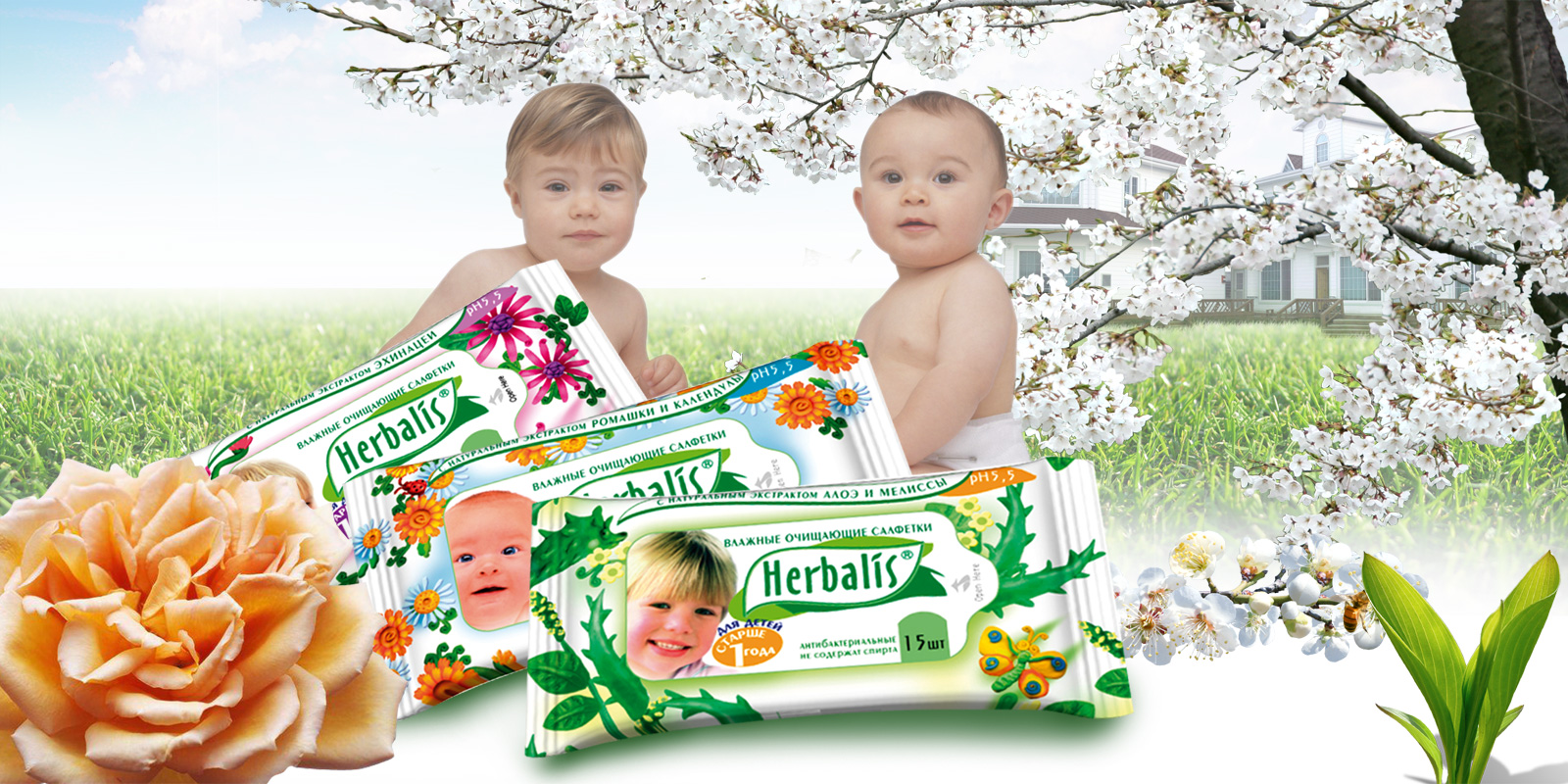 TM Herbalis. Разработка упаковки