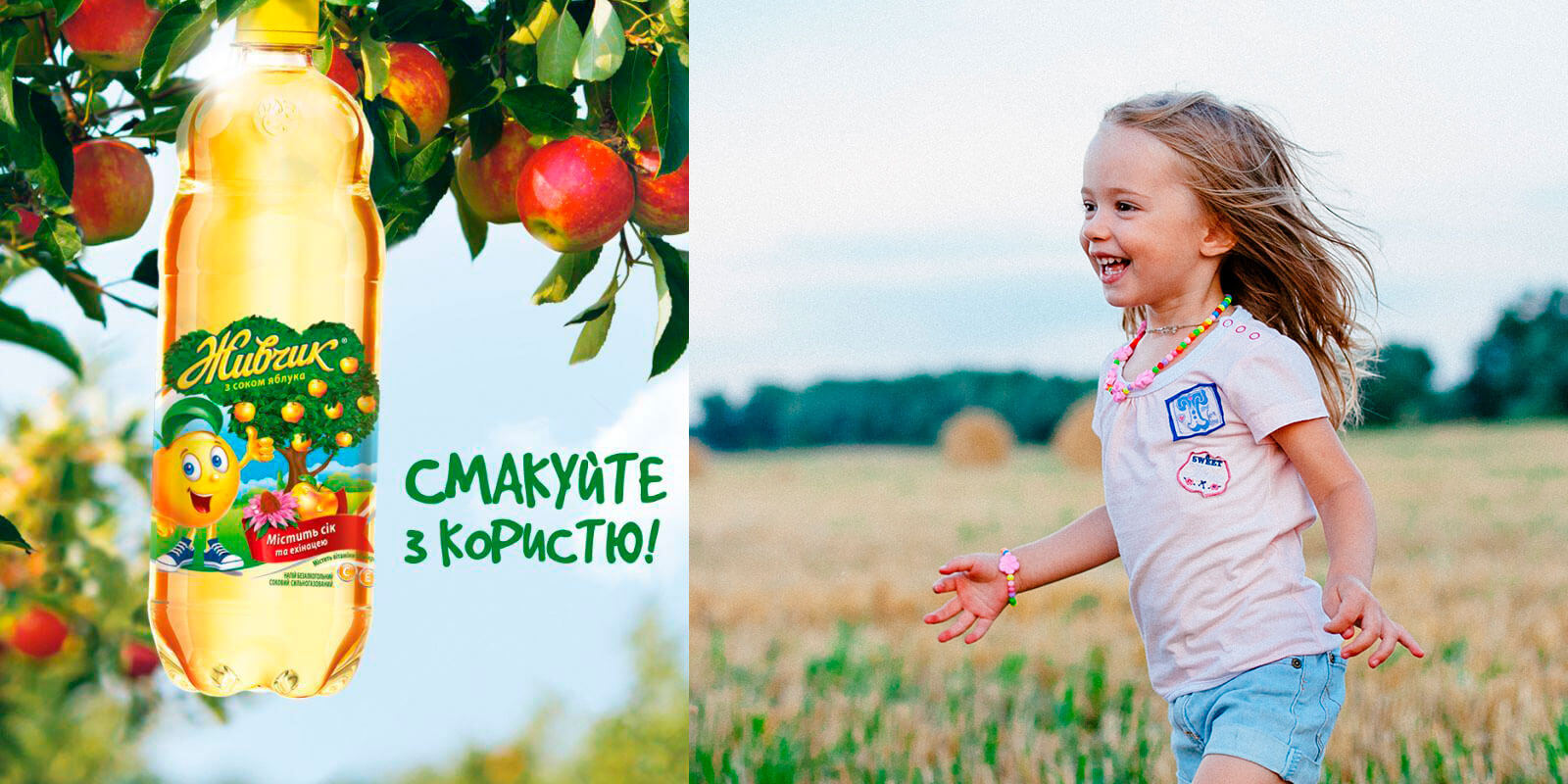 дизайн живчик разработка 