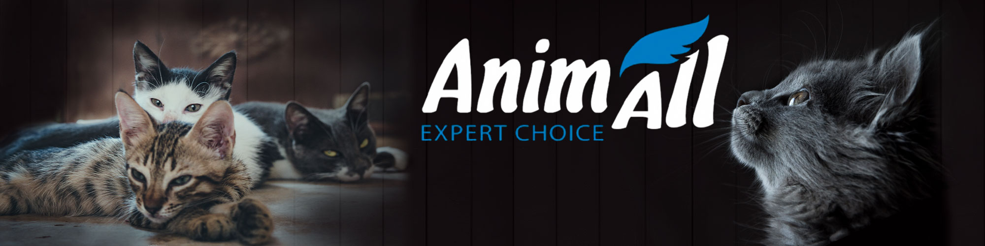 разработка бренда animall создание упаковки нейминга и брендинга
