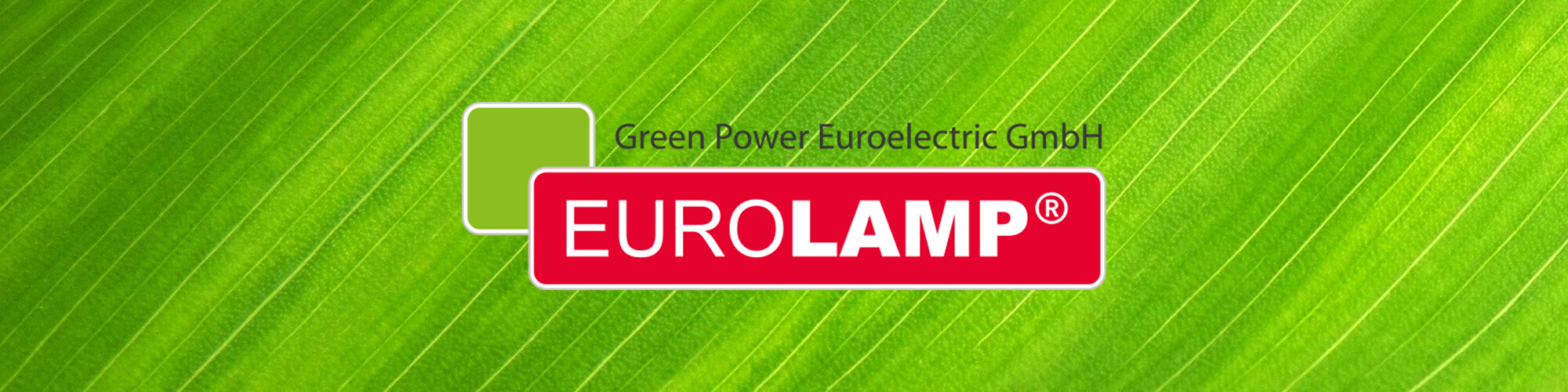 GBS Решения для Брендов Брендинг разработка бренда eurolamp дизайн евроламп дизайн упаковки лампочка