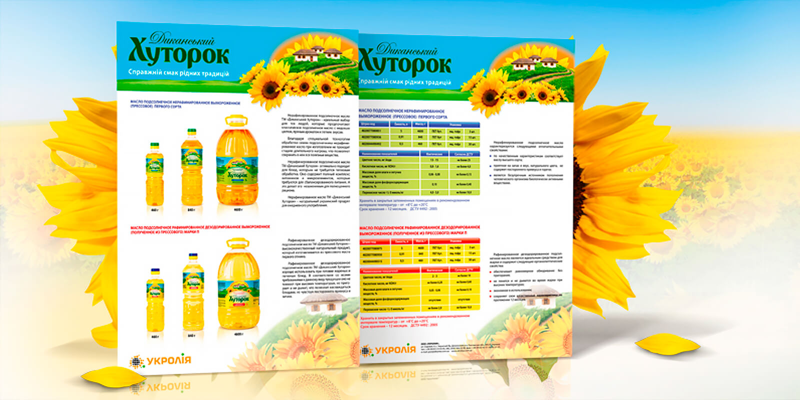розробка дизайну поліграфії флаєрів
