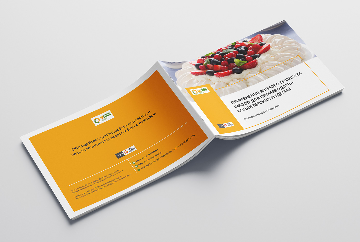 разработка серии маркетинг китов для продукции завода инфуд Infood, решения для брендов, GBS