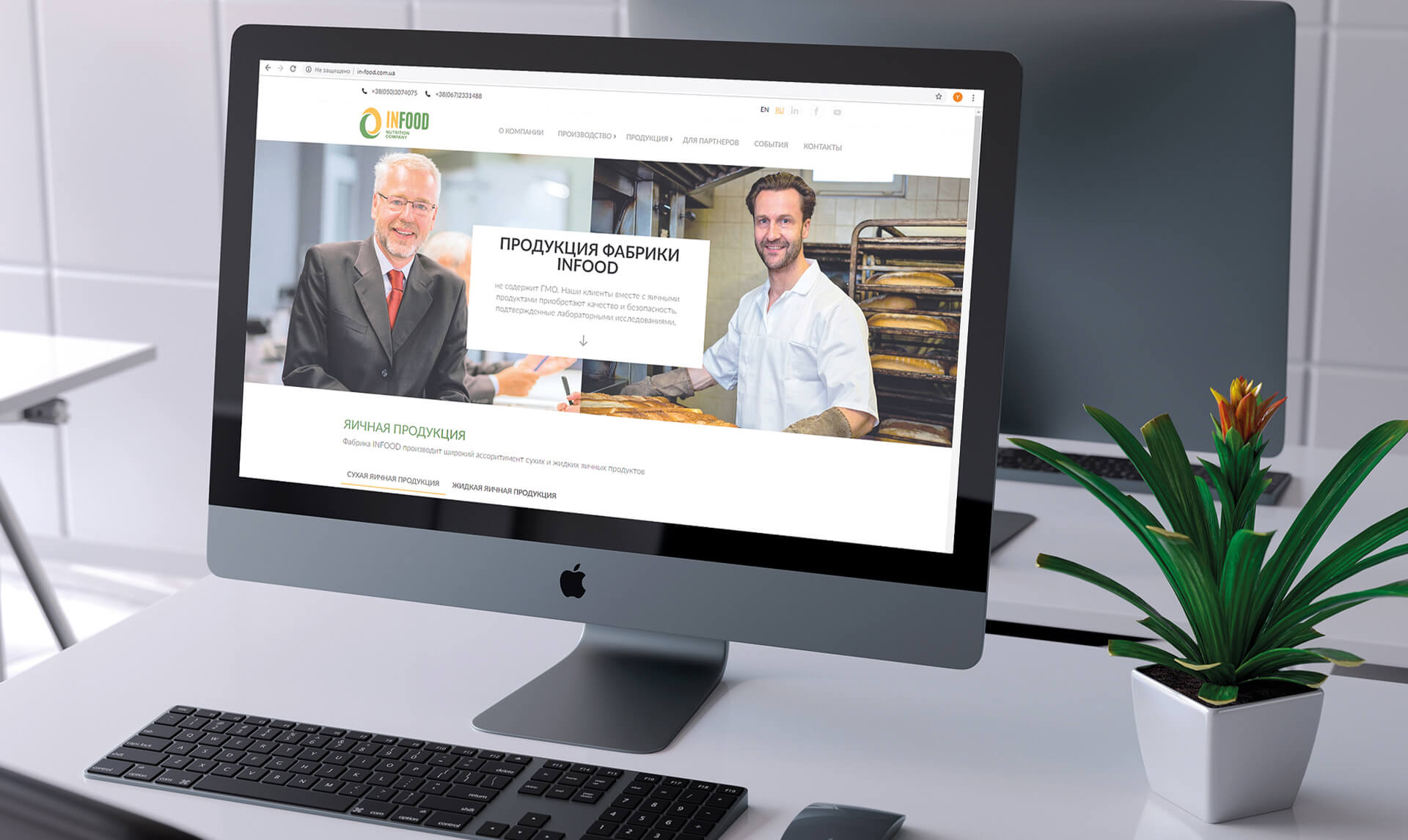 разработка дизайна сайта infood GBS Решения для брендов