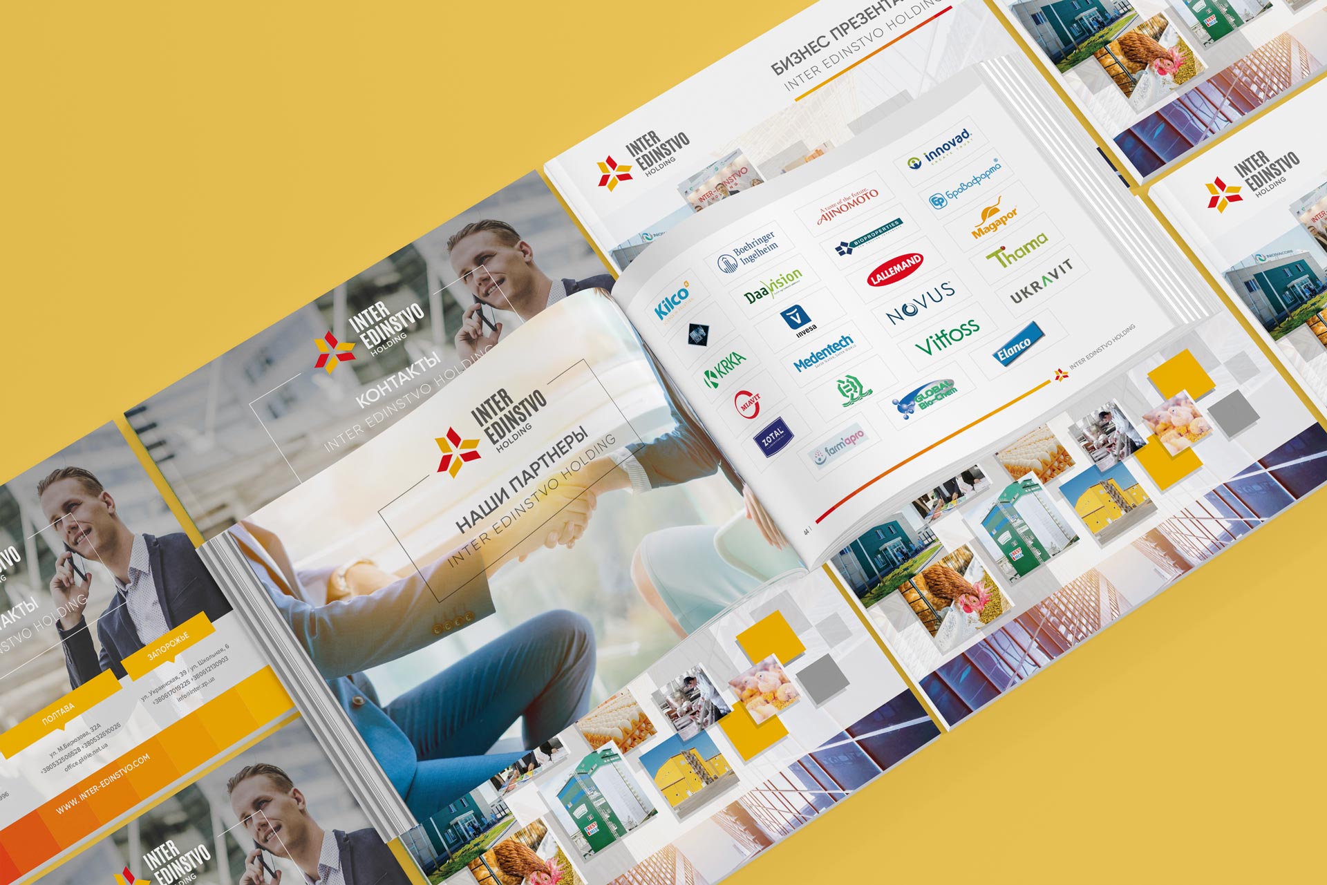 разработка брендинга для Inter Edinstvo Holding