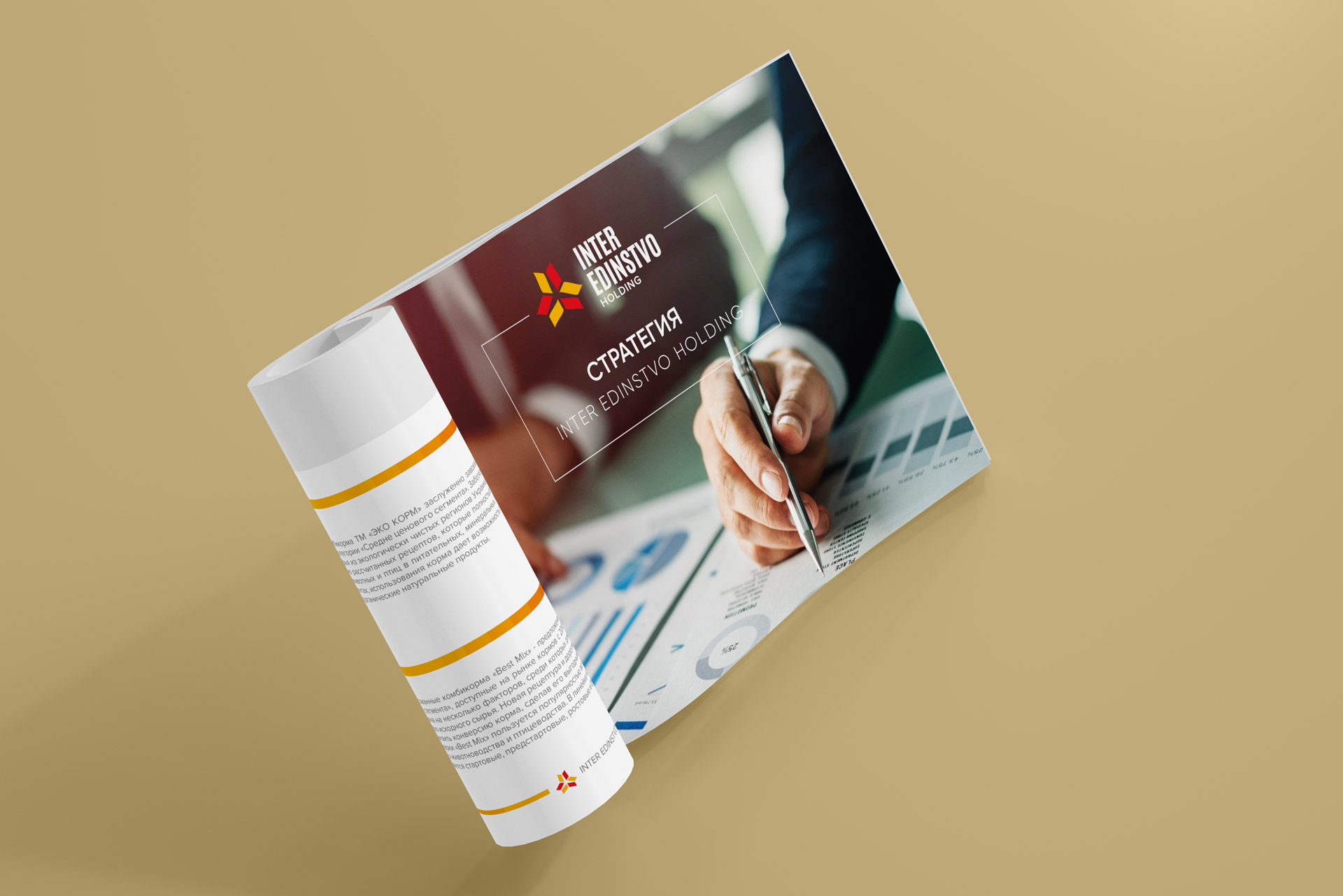 разработка брендинга для Inter Edinstvo Holding