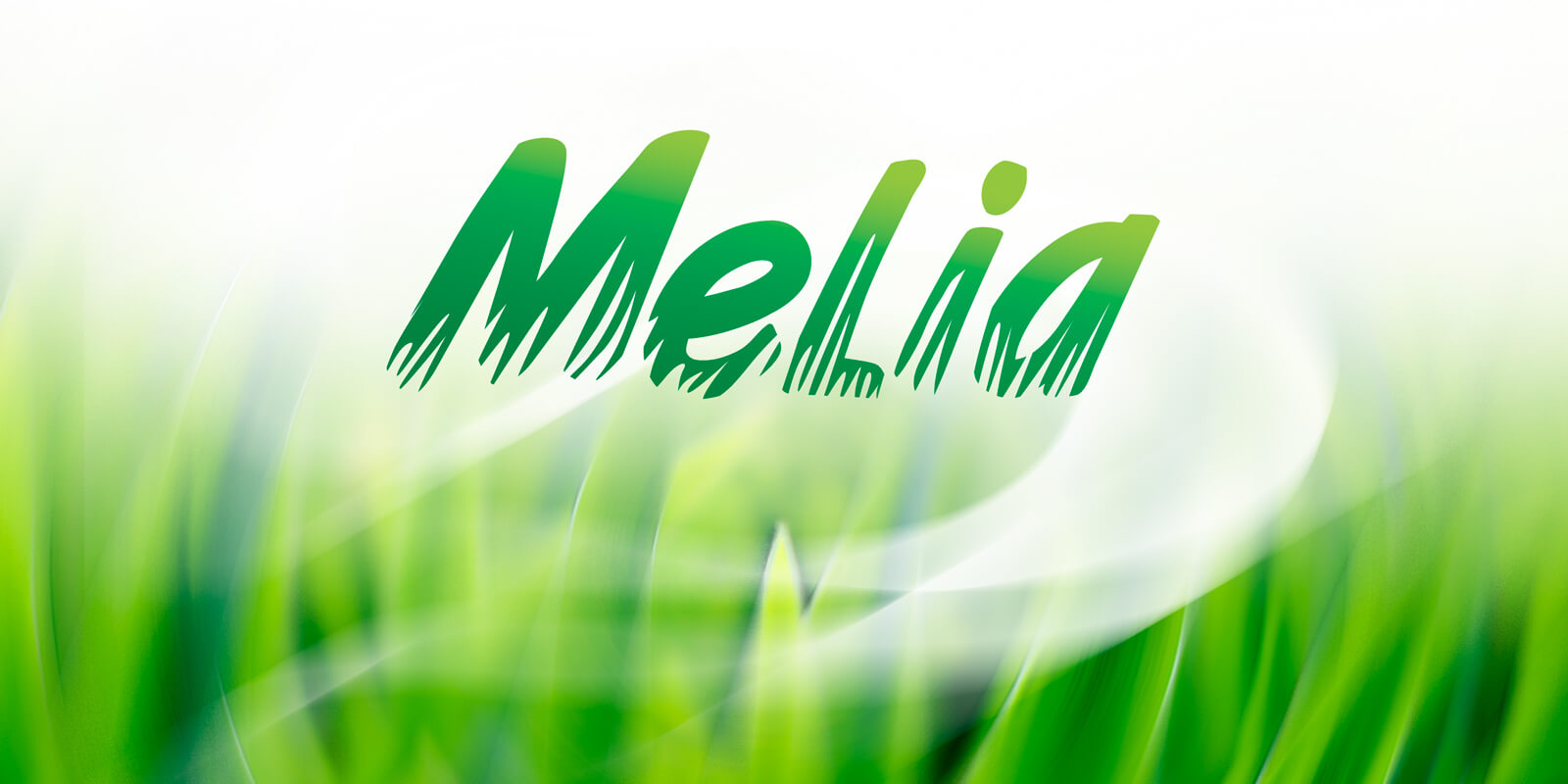 розробка дизайну melia логотип