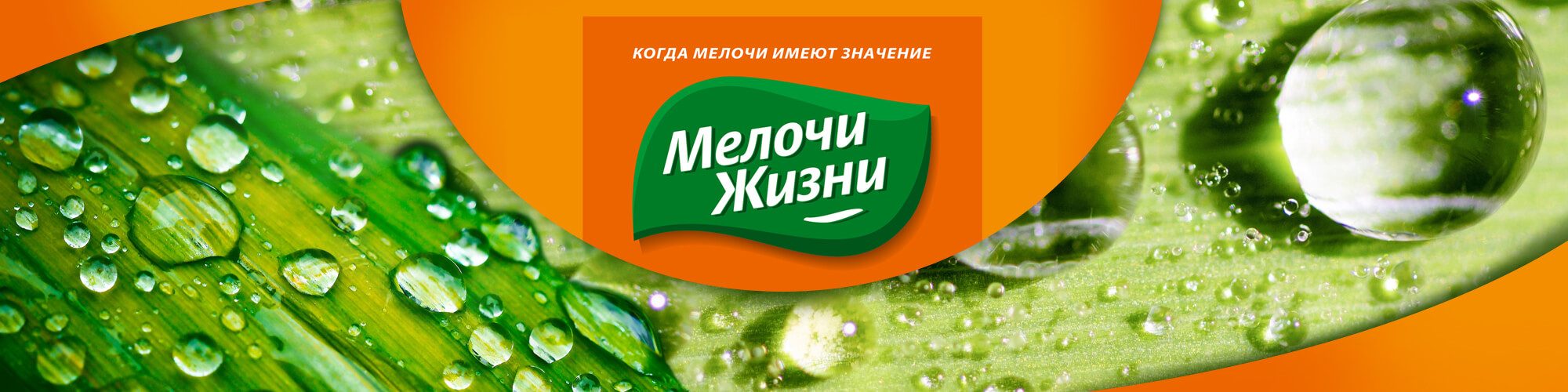 розробка дизайн проекту ціна дрібниці життя