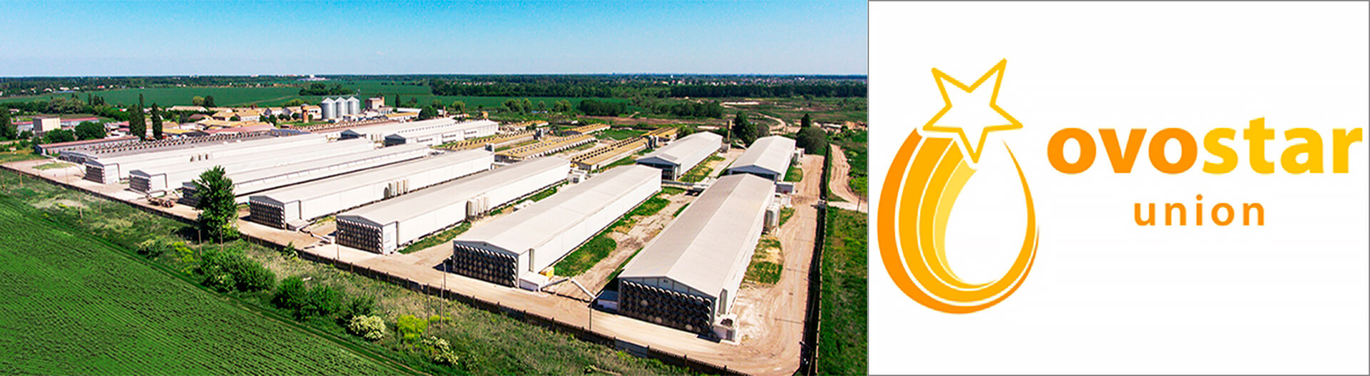 розробка фірмового стилю