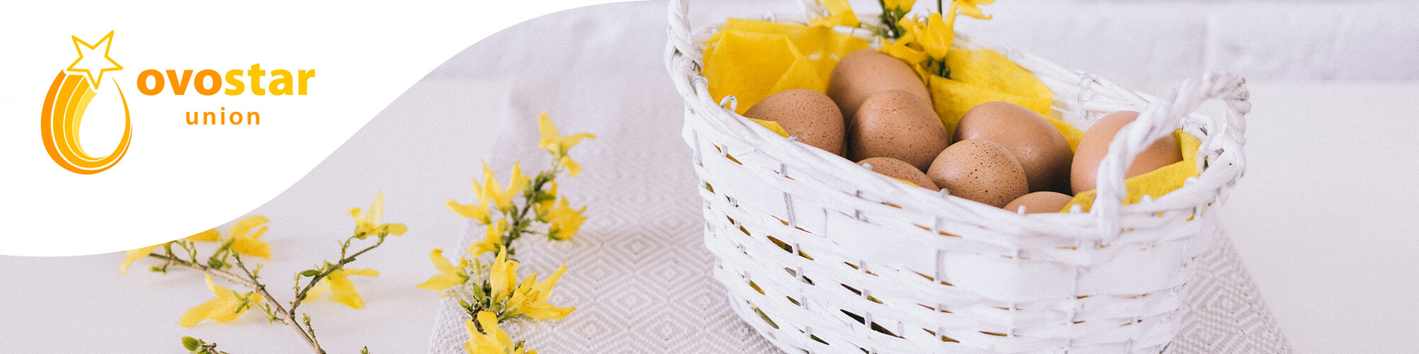 розробка корпоративного дизайну