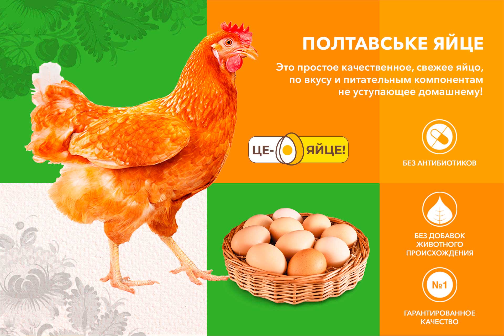 дизайн упаковки яиц, разработка бренда продуктов, GBS, решения для брендов