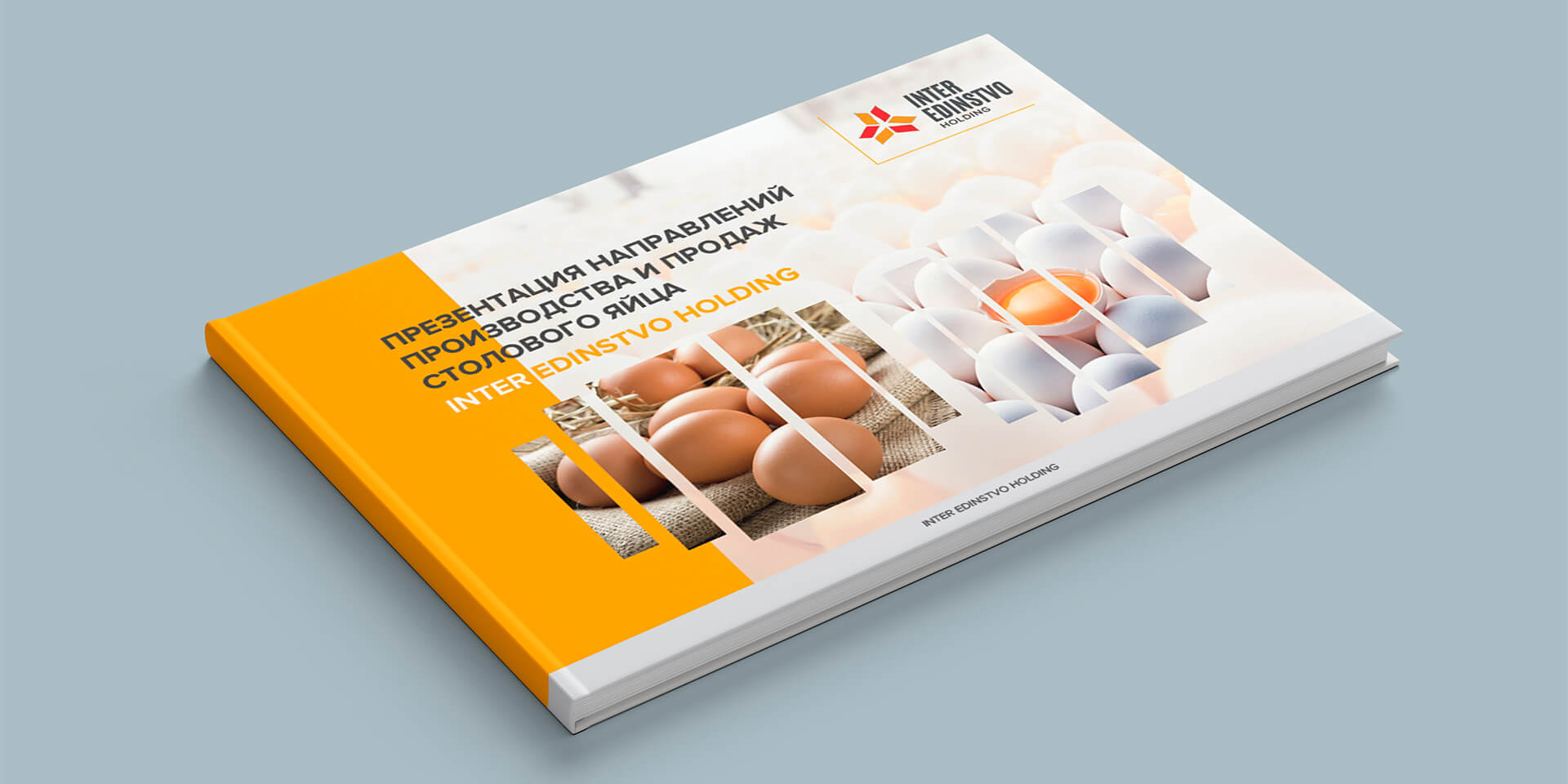 разработка дизайна полиграфии Inter Edinstvo Holding GBS Решения для брендов