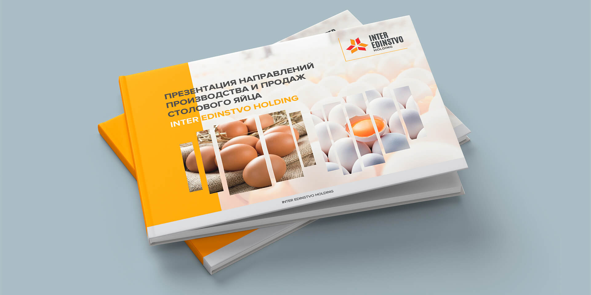 разработать корпоративный бренд маркетинг кит Inter Edinstvo Holding GBS Решения для брендов