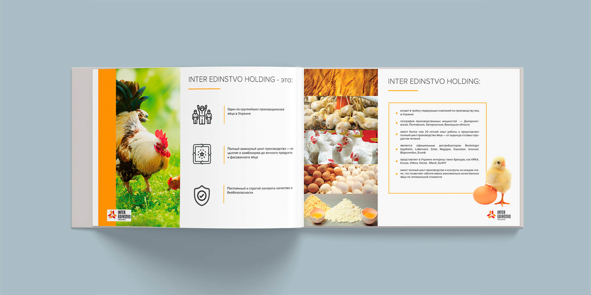 дизайн каталога продукции Inter Edinstvo Holding GBS Решения для брендов