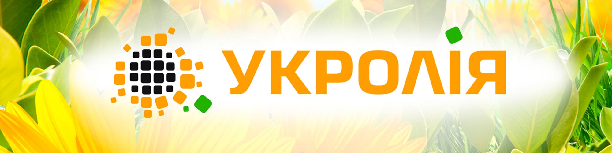 розробка дизайну календарю укролія рішення для брендів GBS