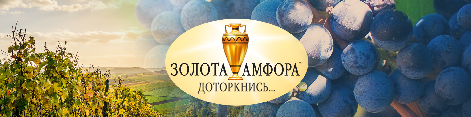 разработка дизайна упаковки украина GBS Решения для Брендов Брендинг