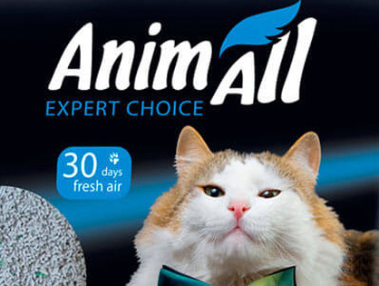 Розробка бренду для тварин Animall